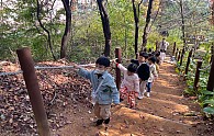 KakaoTalk_20241102_082451802.jpg